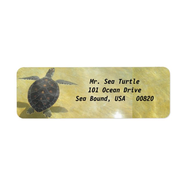 Sea Turtle Shipping Labels (Front)