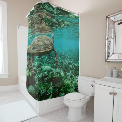 Sea Turtle Shower Curtain