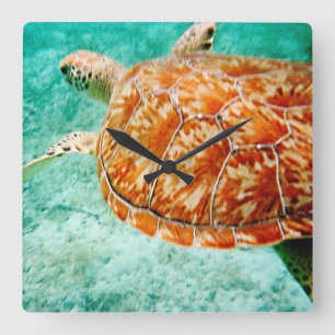 Sea Turtle Square Wall Clock