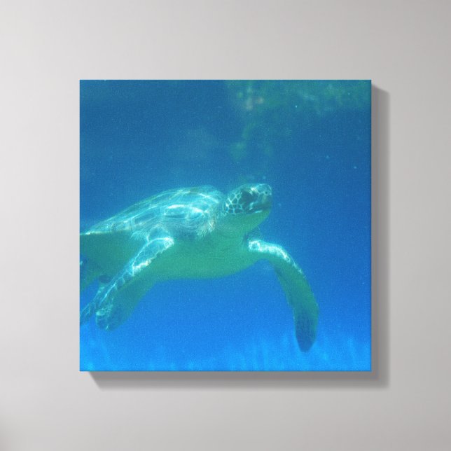 Sea Turtle Swim Canvas Print (Front)