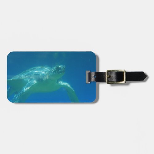 Sea Turtle Swim Luggage Tag