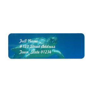 Sea Turtle Swim  Mailing Labels