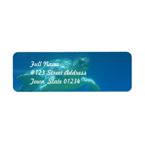 Sea Turtle Swim  Mailing Labels