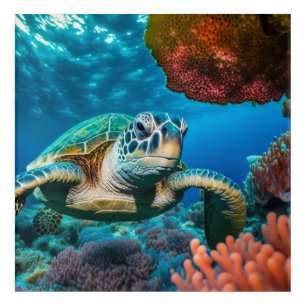 Sea turtle swimming in the undersea acrylic print