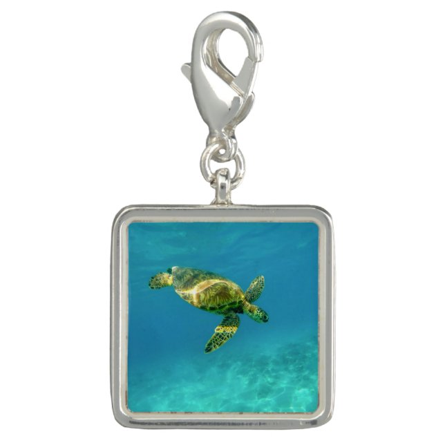 Sea Turtle swimming in turquoise ocean water Charm (Front)