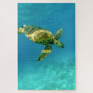 Sea Turtle swimming in turquoise ocean water Jigsaw Puzzle