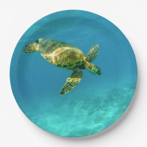 Sea Turtle swimming in turquoise ocean water Paper Plates