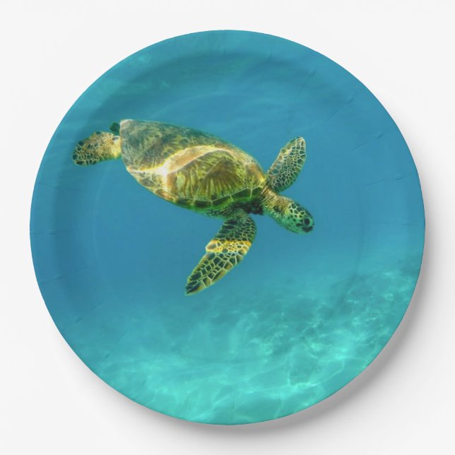 Sea Turtle swimming in turquoise ocean water Paper Plates (Front)