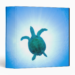 Sea turtle swimming underwater 3 ring binder