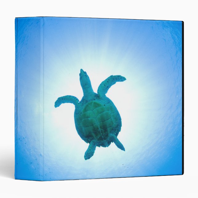 Sea turtle swimming underwater 3 ring binder (Front/Spine)