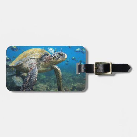 Sea Turtle Swimming Underwater Galapagos Paradise Luggage Tag