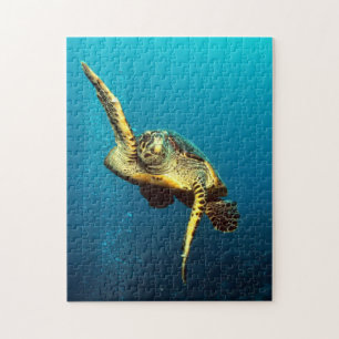 Sea Turtle Swimming Underwater Jigsaw Puzzle