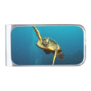 Sea Turtle Swimming Underwater Silver Finish Money Clip