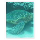 Sea Turtle Temporary Tattoos