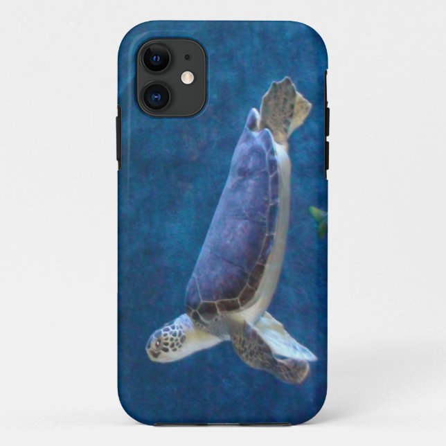 Sea Turtle that was Rescued from Fla Cell Case (Back)