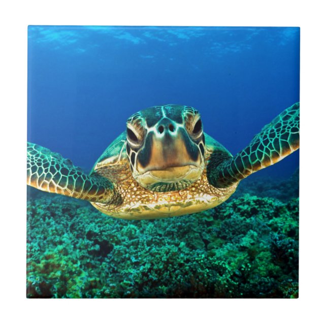 Sea Turtle Tile (Front)