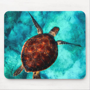 Sea Turtle Top View Mouse Pad