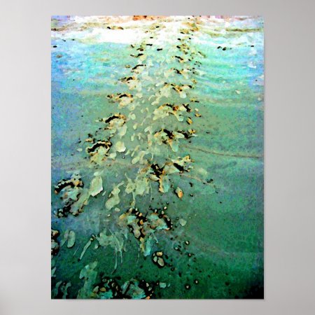 Sea Turtle Tracks Poster
