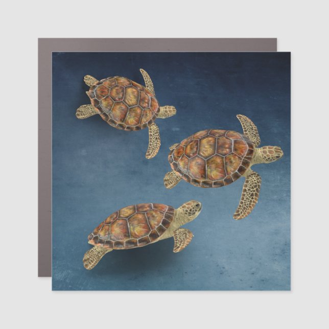 sea turtle trio car magnet (Front)