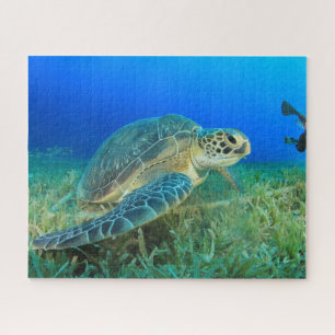 Sea Turtle Under Water Jigsaw Puzzle