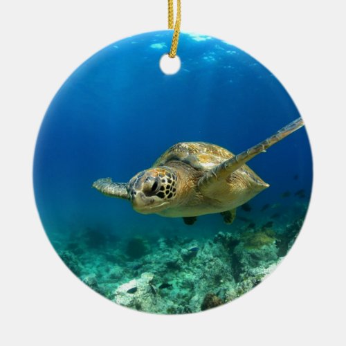 Sea turtle underwater ceramic ornament