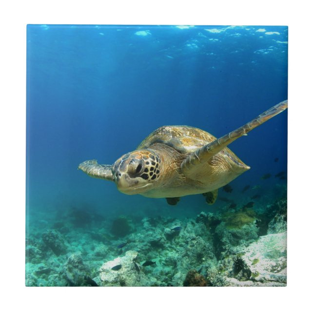 Sea turtle underwater ceramic tile (Front)