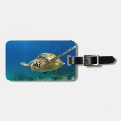 Sea turtle underwater luggage tag