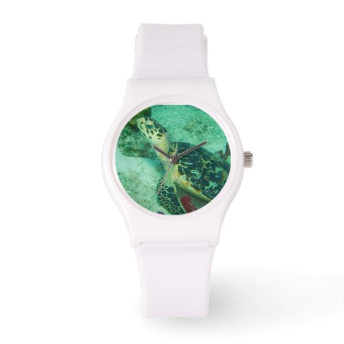 Sea Turtle Underwater Watch