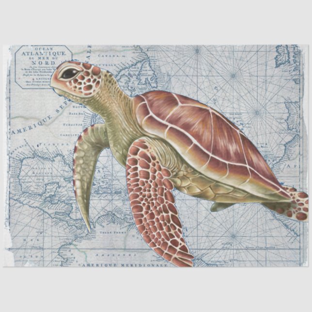 Sea Turtle Vintage Map Nautical Beach Tissue Paper (Front)