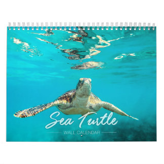 Sea Turtle Wall Calendar