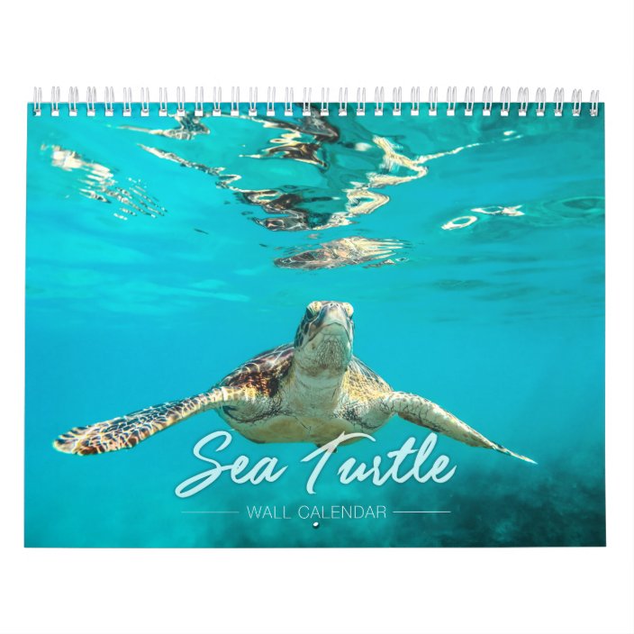 Sea Turtle Wall Calendar Zazzle com