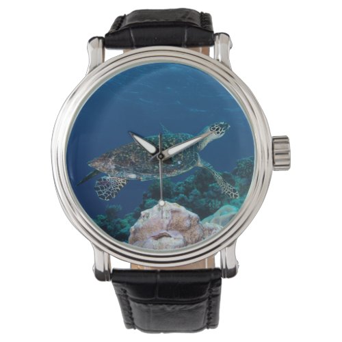 Sea Turtle Watch
