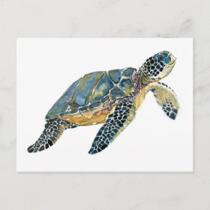 Sea Turtle watercolor sketch Postcard