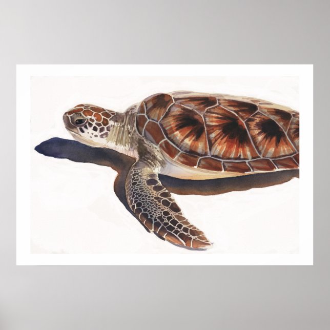 Sea Turtle Wildlife Watercolor Art Poster (Front)