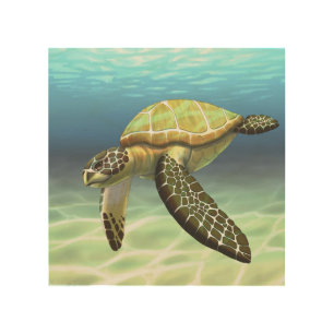 Sea Turtle wood wall art