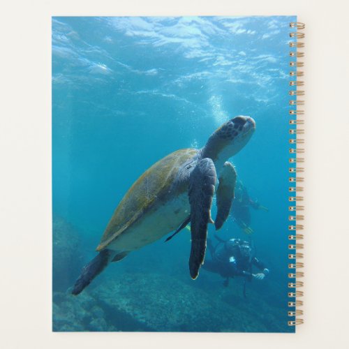 Sea Turtles And reptiles Wild Animal Photography Planner