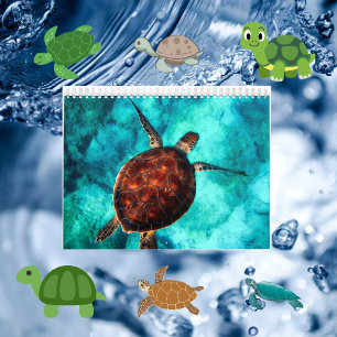 Sea Turtles and Tortoise Ocean Marine Life Photos Calendar