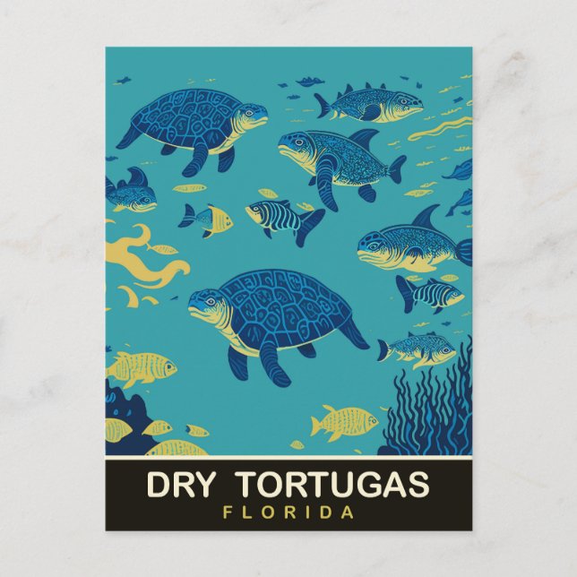 Sea Turtles at Dry Tortugas FL, Travel Postcard (Front)