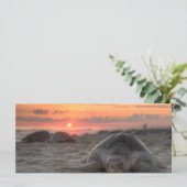 Sea Turtles at Sunset (Standing Front)