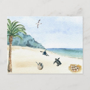 Sea Turtles Baby Hatching Watercolor Postcard
