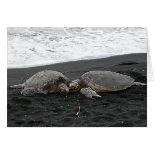 SEA TURTLES blank card