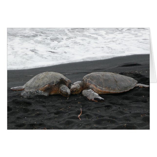 "SEA TURTLES" blank card (Front Horizontal)