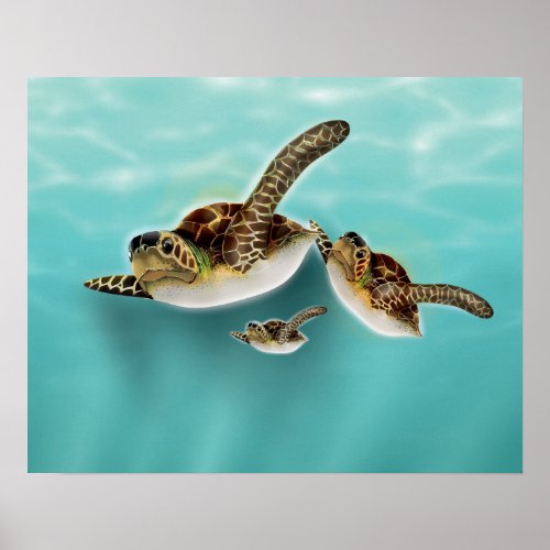 Sea Turtles Illustration Poster