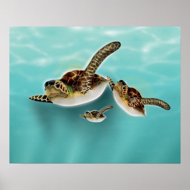 Sea Turtles Illustration Poster (Front)
