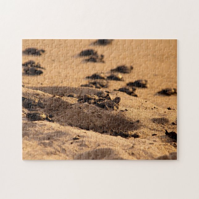 Sea Turtles Jigsaw Puzzle (Horizontal)