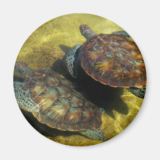 Sea Turtles Magnet