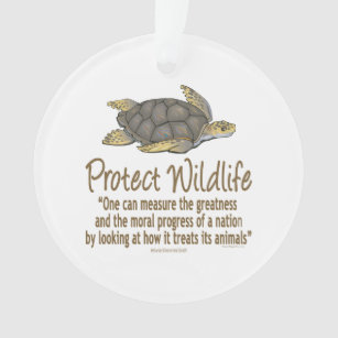 Sea Turtles Ornament