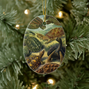 Sea Turtles Vintage Land Tortoise by Ernst Haeckel Ceramic Ornament