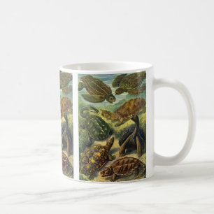 Sea Turtles Vintage Land Tortoise by Ernst Haeckel Coffee Mug