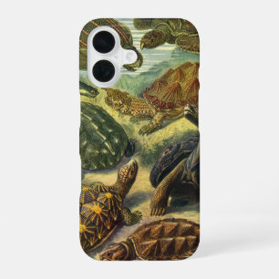 Sea Turtles Vintage Land Tortoise by Ernst Haeckel iPhone 16 Case